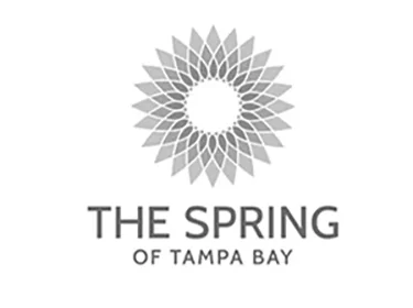 The Spring Logo